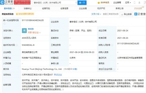 信息系统集成服务 构建企业数字化转型的核心桥梁